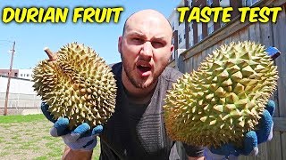 Durian Fruit Taste Test [upl. by Hayikat673]