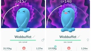 DIFFERENT VERSIONS Male and Female Wobbuffet  POKÉMON GO [upl. by Tega]