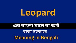 Leopard meaning in bengaliLeopard শব্দের বাংলা ভাষায় অর্থ অথবা মানে কি [upl. by Oigaib847]