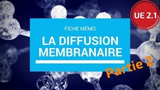 UE 21  La diffusion membranaire  Partie 2 [upl. by Meill797]