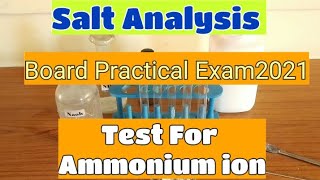 Salt Analysis ClassTest For Ammonium IonIndicatory and ConfirmatoryPractical ExamClass 12 2021 [upl. by Tirreg]