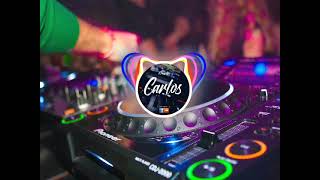 Mix Perreo Intenso 2023  DJ CARLOS [upl. by Notned]