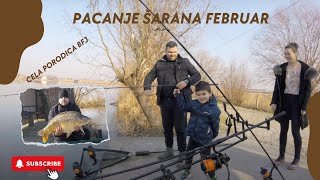 Pacanje Šarana Februar 2023 [upl. by Ailemak]