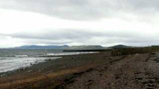 Bottlenose Dolphins at Fortrose Scotland [upl. by Ettena325]