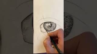 Finish drawing bleistiftzeichnung sketch augezeichnen bleistift enjoy relaxing eyes [upl. by Hamon]