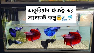 এ্যকুরিয়াম প্রজেক্ট এরআপডেট ভল্গ😇🌊🐬fishtank foryou aquarium bd agro fypシ rakibhuda dhaka [upl. by Madra706]