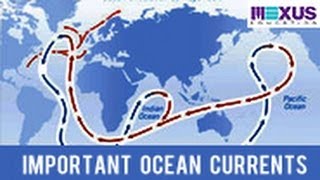 Important Ocean Currents [upl. by Eiddam885]