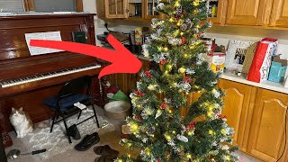 First Impressions on the Yitahome Christmas Tree Worth it [upl. by Arreyt153]