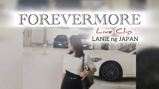 FOREVERMORE  LIVE CLIPLIVE Performance [upl. by Neik]