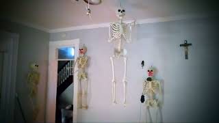 💀 Skeletons Hanging Out in the Dining Room Listening to 𝘚𝘶𝘳𝘧𝘪𝘯 𝘉𝘪𝘳𝘥 By The Trashmen on the Amazon E [upl. by Ever]