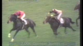 1972 2000 Guineas Stakes [upl. by Howarth]