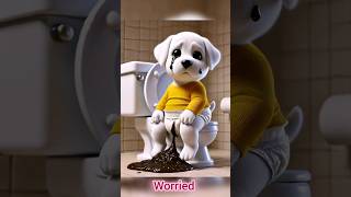 cute dog video  dog poop in pamper  dog doglover dogs shorts dogshorts viralvideo dogvideos [upl. by Yllek]