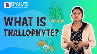 What is Thallophyte [upl. by Nileuqcaj11]