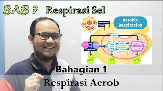 KSSM Bio Ting 4  Bab 7  Respirasi Sel Part 1 Respirasi Aerob [upl. by Kahaleel]