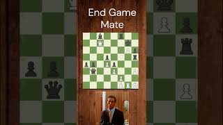 EndGame Checkmatechessgamesbrilliantchessgames magnuscarlsen magnus virat [upl. by Nibbs]