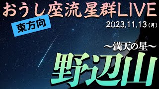 【流星LIVE】おうし座流星群×新月 生中継＜やや寄り・東方向＞／長野県野辺山 20231113月1900〜 [upl. by Ettennek847]