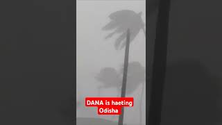 DANA IN ODISHA Cyclone [upl. by Rebma103]