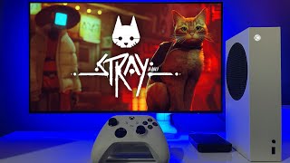 Stray gameplay Xbox Series S [upl. by Wenn]