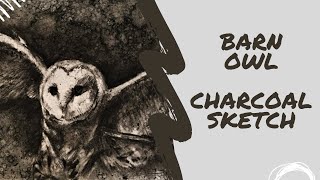 Barn Owl Charcoal Sketch Daniel Wilson [upl. by Av]