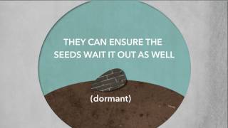 Tropism and Dormancy  Sci NC [upl. by Chessy]