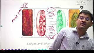 Cytoplasmic Inheritance [upl. by Quarta]