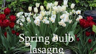 Spring bulb lasagne [upl. by Eimme]