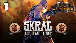 THE SLAUGHTERER RISES Total War Warhammer 3  Skrag the Slaughterer  Ogre Kingdoms Campaign 1 [upl. by Lledyl]