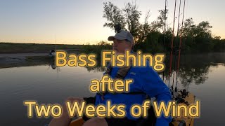 Bass Fishing after Two Weeks of Wind [upl. by Lody]