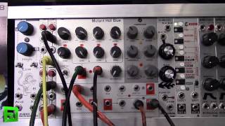 Hex inverter Mutant Hot Glue compressor for Eurorack modular [upl. by Peale587]