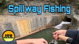 This Spillway Was LOADED [upl. by Lawton]