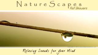 🎧 RELAXING RAIN SHOWER SOUNDS for Sleep Meditation White Noise amp Tinnitus Nature Sounds [upl. by Fredia]