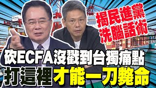 砍ECFA沒打到民進黨痛點 蔡正元揭綠洗腦話術quot你還得叫他爺爺quot 謝寒冰等大陸對台灣心灰意冷 時機到了自然解決 [upl. by Hakeem]