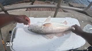 SOUTH PACKERY JETTY FISHING IN CORPUS CHRISTI TX SEPT 10TH 2023 WITH BIG AL FISH ON BABBBYYY [upl. by Rowland]