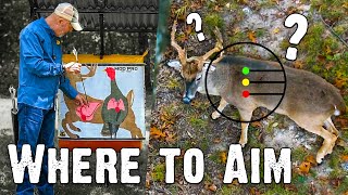 Where to Aim Best Shot Placement on Deer 834 [upl. by Gable106]