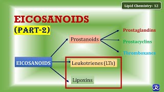 12 Eicosanoids part 2 Leukotrienes Lipoxins  Lipid Chemistry12  Biochemistry [upl. by Serrano]