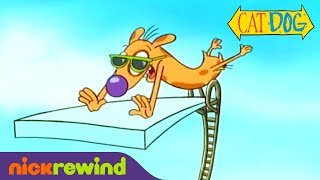 Dog Breaks a Handful of Pool Rules  CatDog  Nicktoons [upl. by Noroj613]