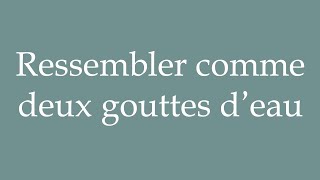 How to Pronounce Ressembler comme deux gouttes d’eau Correctly in French [upl. by Lilli303]