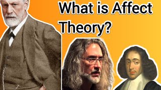 What is Affect Theory [upl. by Akitan]