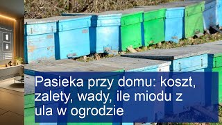 Pasieka przy domu koszt zalety wady ile miodu z ula w ogrodzie [upl. by Attelocin]