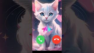 Beautiful cat calling me 🥰likeandsubscribe cat ringtone funny bigcat [upl. by Neerac]