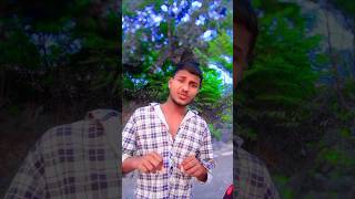 Video  Apna Raja Ji Ke Dilwa bhojpuri song new status shorts viralvideo trending shortvideo [upl. by Kimmy217]