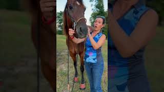 Hackamore fit and placement barrelracing horsetack [upl. by Mccall]