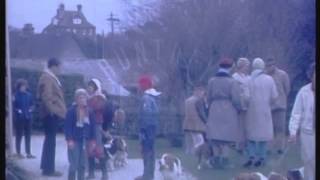 Basset hound dog show 1950s  Film 43894 [upl. by Solange]