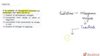 If by radiation all nitrogenase enzymes are inactivated then there will be no [upl. by Enelez414]