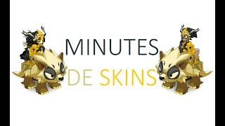 Dofus  Minutes de Skins  Coiffe Reine des Voleurs  Cape Logis  Bouclier Captivant  Hurledent [upl. by Annemarie615]