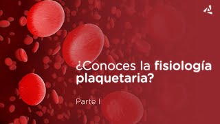 🚀 ¿Conoces la fisiología plaquetaria  primera parte [upl. by Naro680]