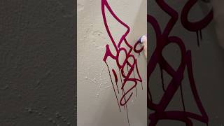 Drippy Tag Saerxne Tagging Graffiti Drippy Mop Tag Drips DripTag Painting MyProperty [upl. by Giarc]