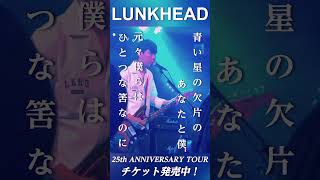 星の欠片  LUNKHEAD 結成25周年ツアー開催中！ shorts lunkhead lunkhead25th バンド ライブ ライブ映像 邦ロック [upl. by Aenal]