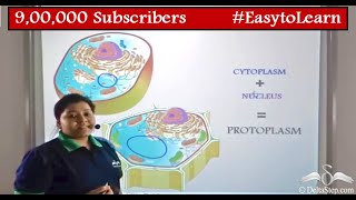 Cytoplasm and Protoplasm  Difference  Cells  Class 6  CBSE  NCERT  ICSE [upl. by Mohsen543]