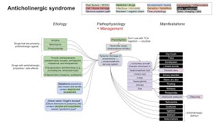 Anticholinergic syndrome mechanism of disease [upl. by Akienaj235]